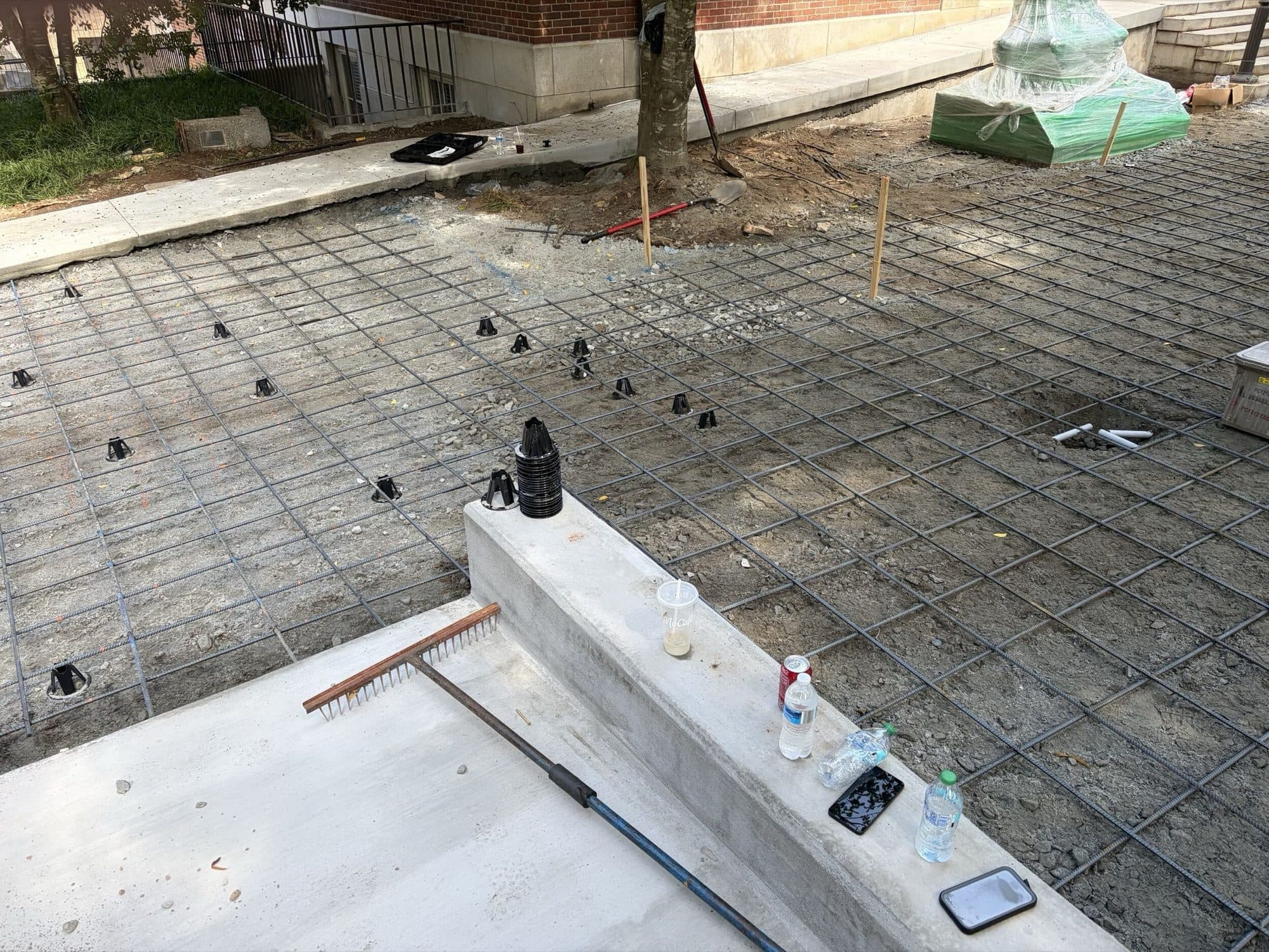 Formed concrete curb and reinforcing mesh set around an existing tree in the plaza base