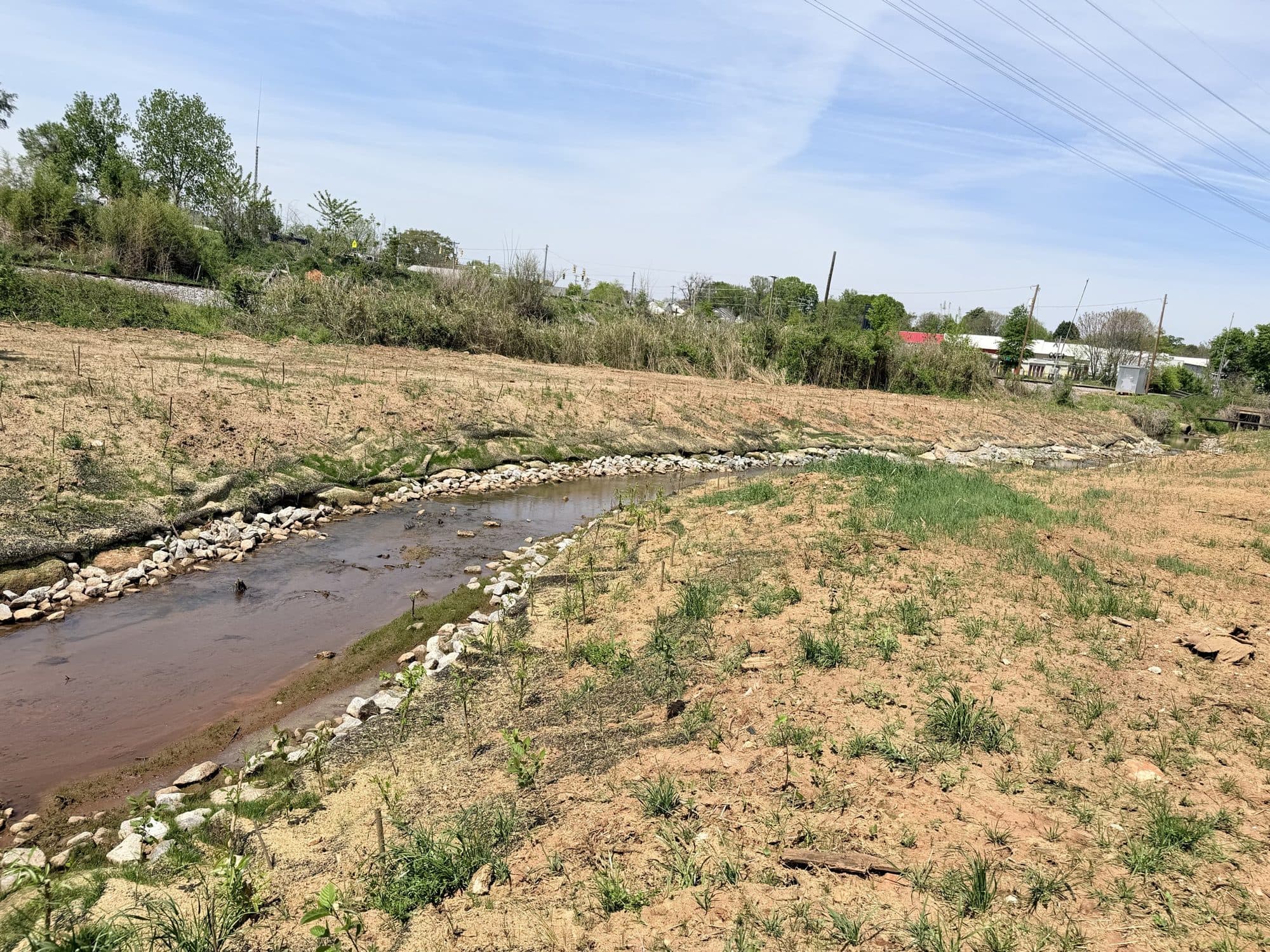 Bank plantings coming in along the reclaimed channel with rock through the bend
