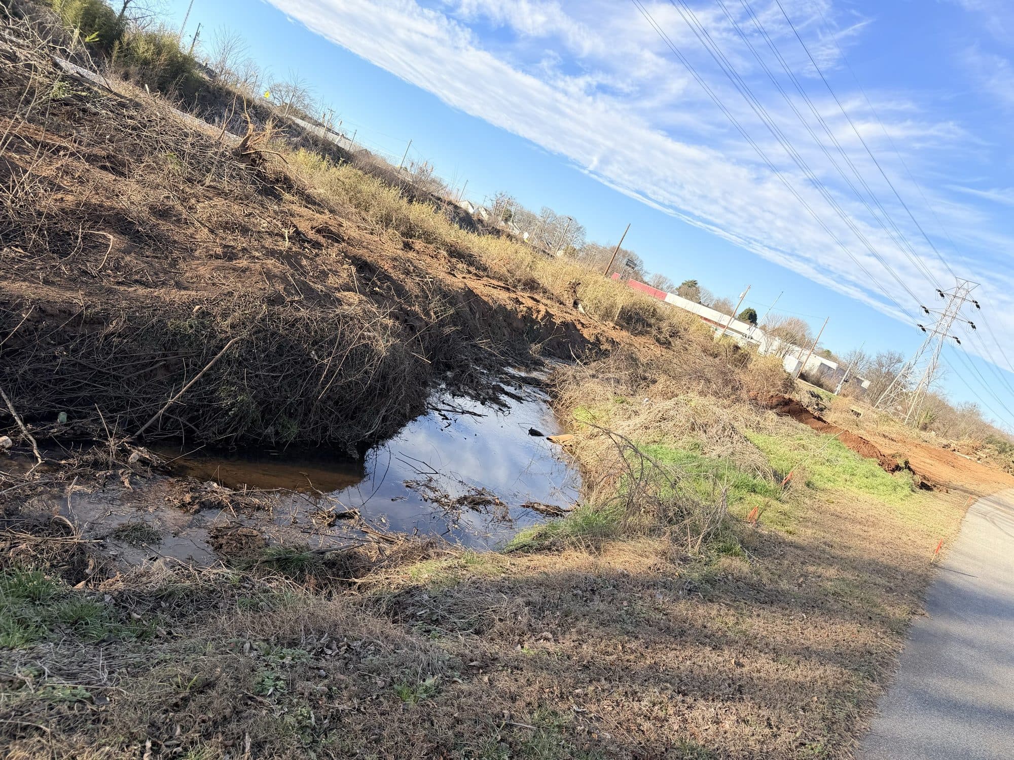 A scoured, bare streambank at Cripple Creek with standing water at the toe before reclamation