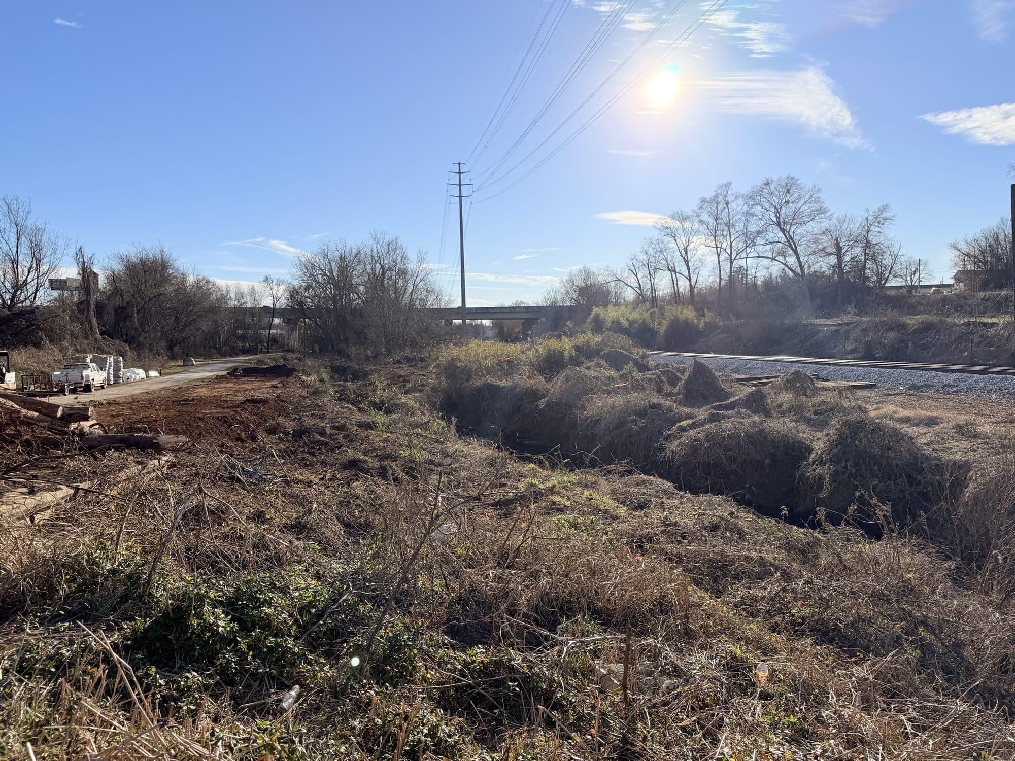 The creek corridor before the work, choked with overgrowth over an eroded channel