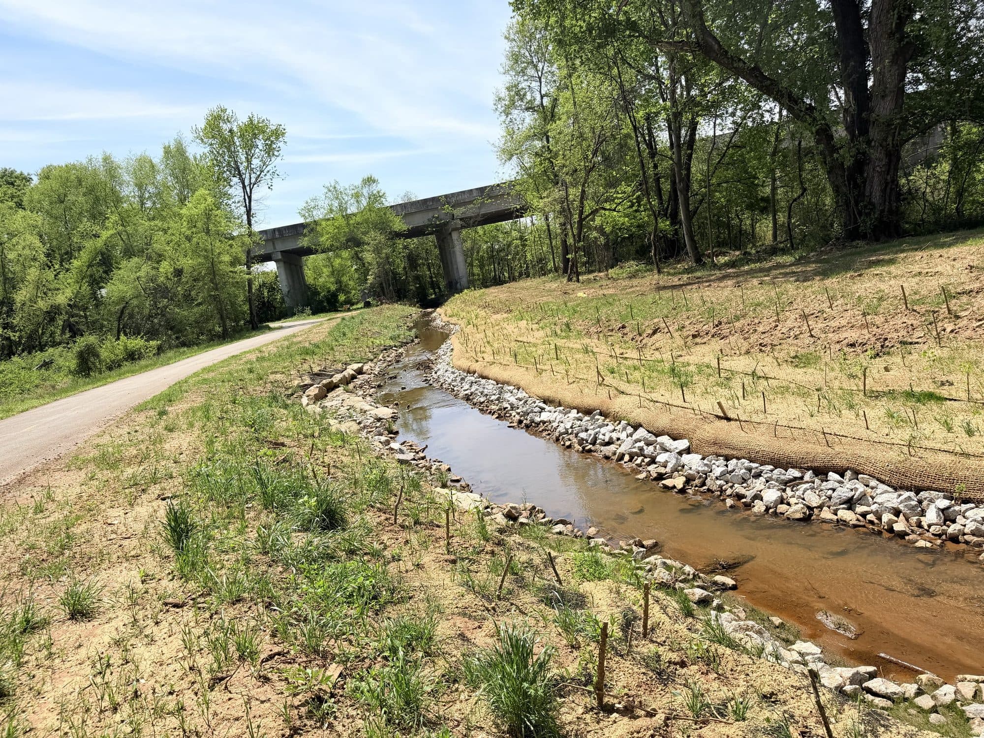 The reclaimed Cripple Creek channel beside the Swamp Rabbit Trail, with rock toe protection and live stakes on the planted bank